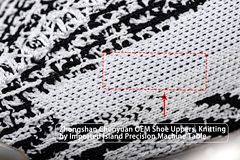Adidas Yeezy Boost 350 V2 Zebra Reps Sneaker CP9654