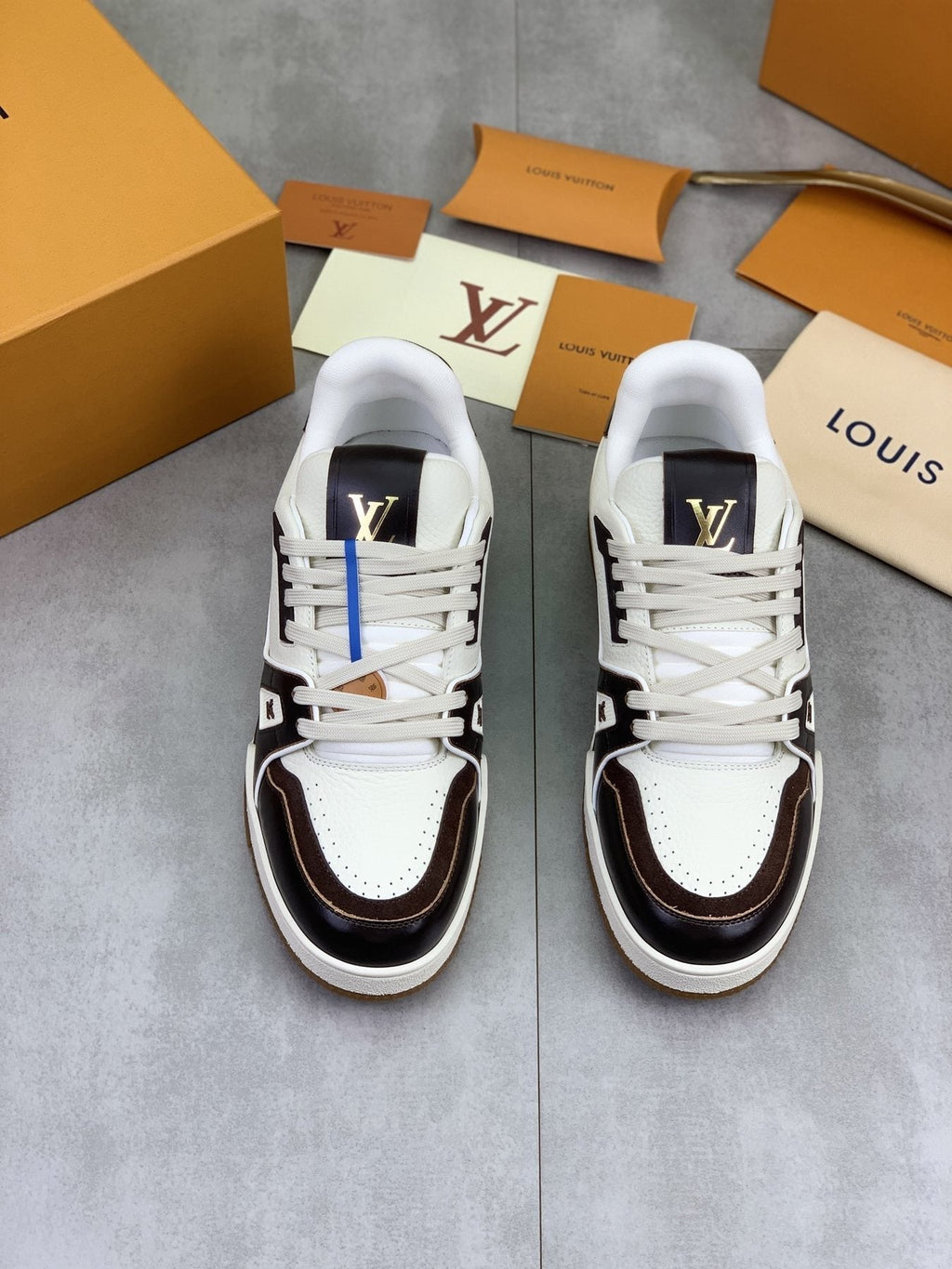 Louis Vuitton Panel-Trim Low-Top Sneakers