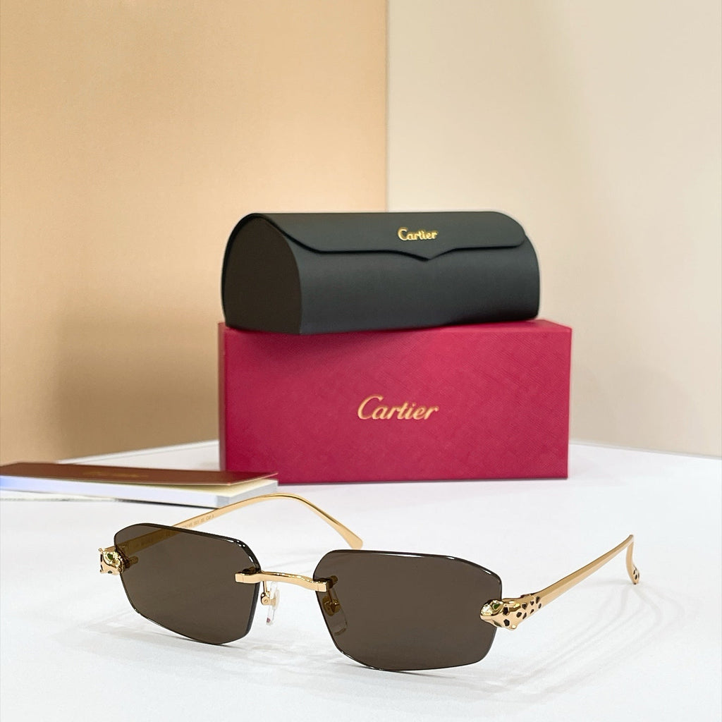 Cartier CT0474S Sunglasses