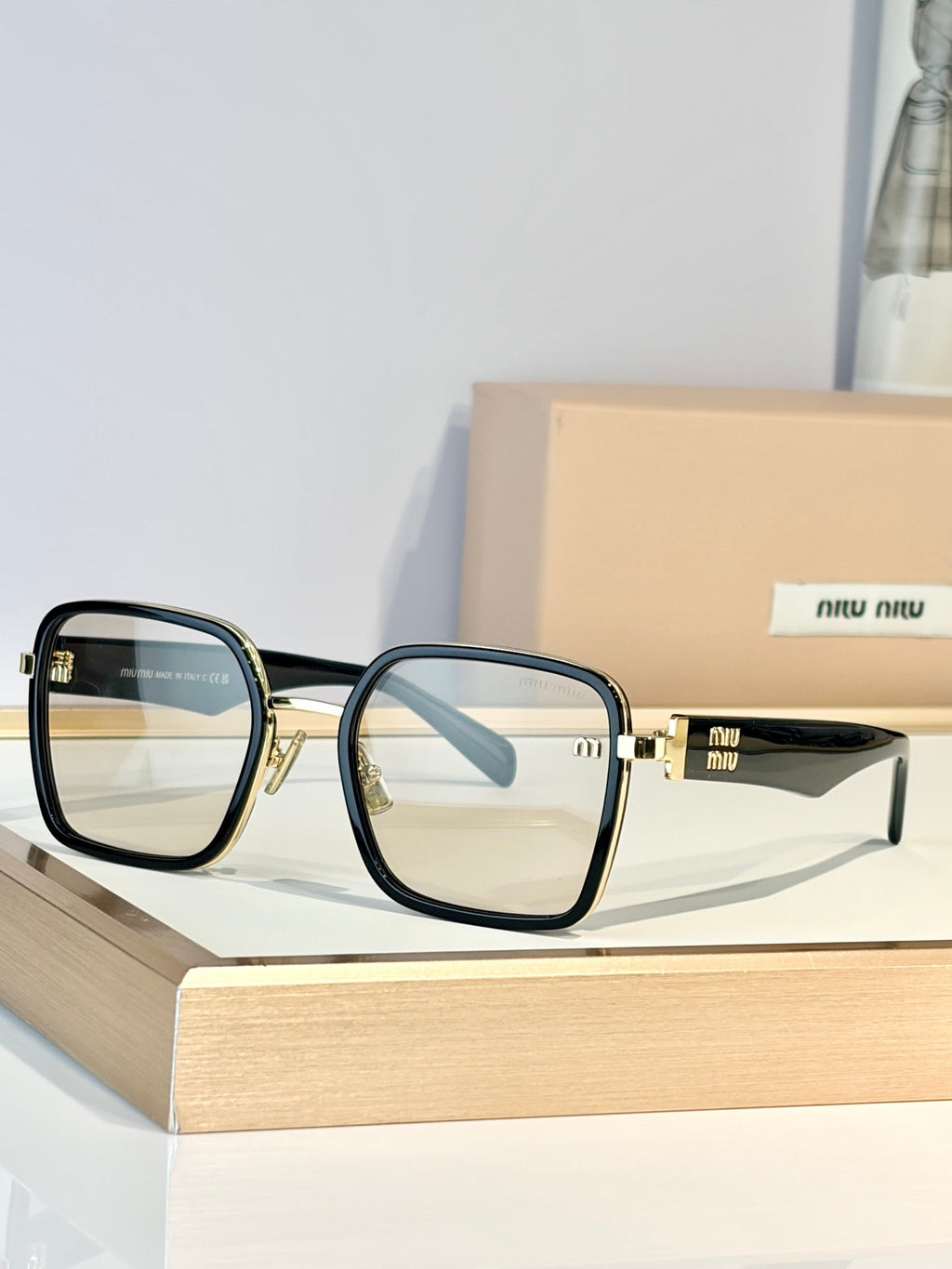 Miu Miu MU B19 Sunglasses